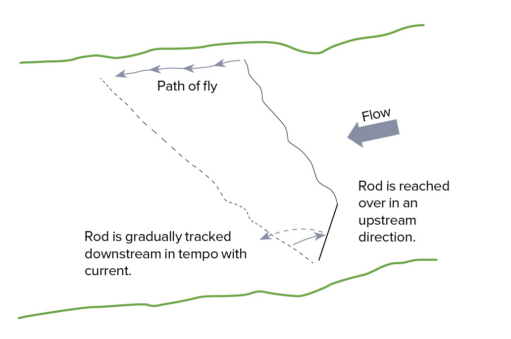 Diagram 1 - reach cast